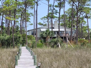 A wooden boardwalk leading to a house surrounded by tall pine trees.