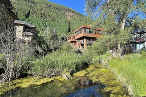 Exterior - DOWNTOWN MODERN CREEKSIDE (Telluride)