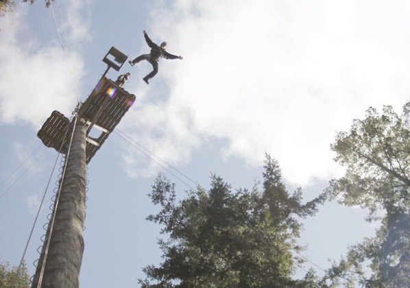 Experience the rush of adventure from a unique vantage point.