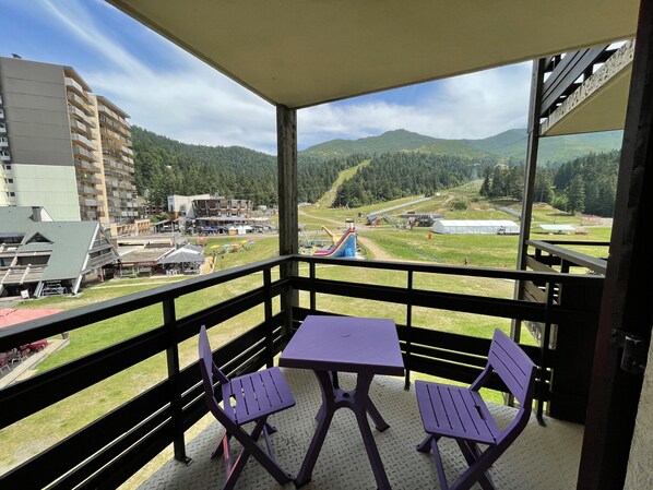 Property grounds - Griou N°52 (Le Lioran)