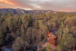 A wooden cabin surrounded by dense forest, with a mountain range in the background.