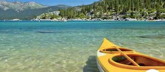 Bearadise Log Cabin ~ Forest Views & Charm <3