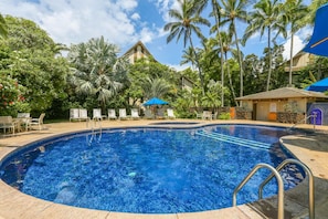 Una piscina con agua cristalina, rodeada de sillones de descanso y palmeras.