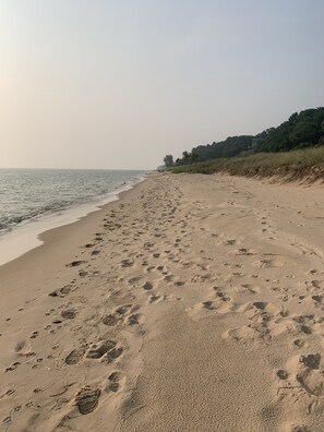 Une plage de sable où l’on peut voir des empreintes menant à l’eau, une zone herbeuse avec des arbres et un ciel dégagé.