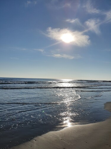 LES ECURIES DU MARÉCHAL-FERRANT MONTPELLIER