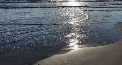 LES ECURIES DU MARĂCHAL-FERRANT MONTPELLIER