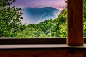 Vista des de l'allotjament