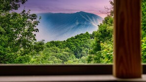 A view through a window with a wooden frame, featuring a lush green forest and a mountain in the background. - Hot Tub/Game Room/Theater/Fire Pit/VIEWS/Luxury! - Ski View Lodge (Gatlinburg)