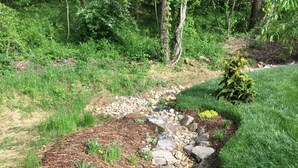 A landscaped garden with a stone pathway, various plants, and a wooden deck. - Quiet & Chic 3 BR Cottage w/ Private Garden Near Downtown Asheville (Asheville)
