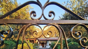 A wrought iron gate with a heart-shaped design, leading to a building with a tiled roof and a garden with a paved pathway. - La Magnolia Casa Vacanze (Sicilia)