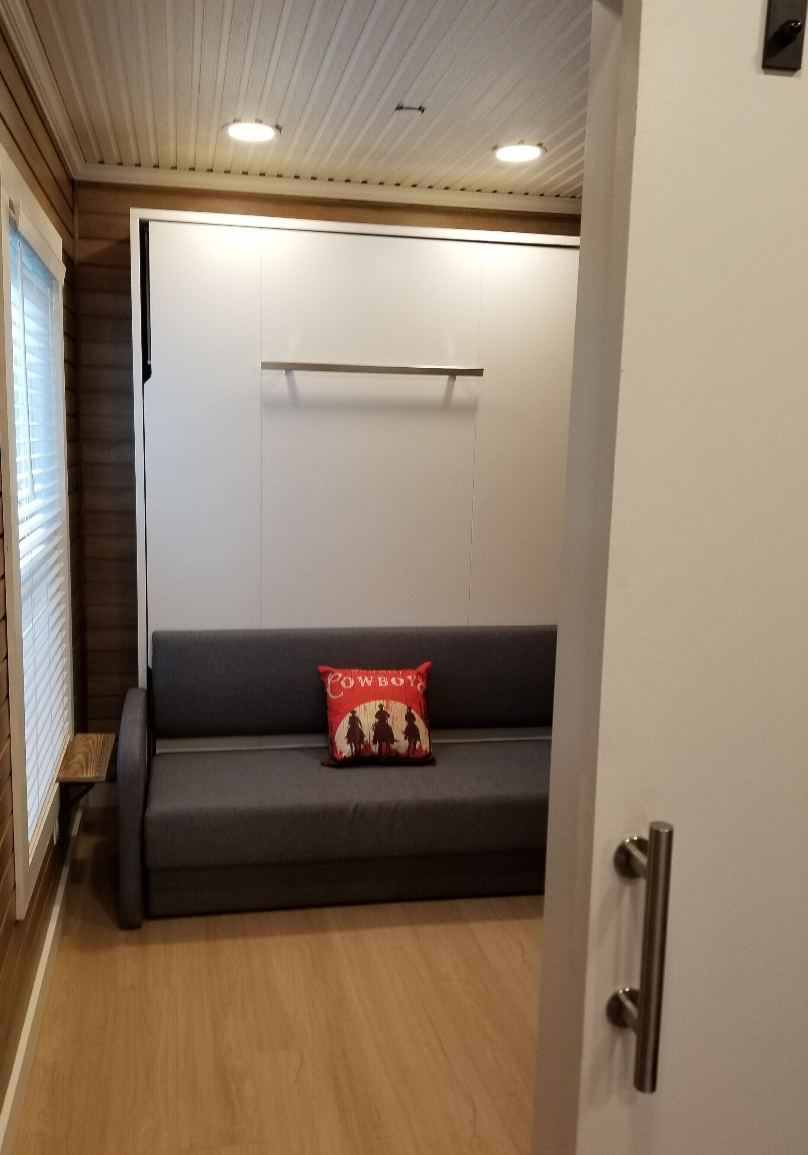 A modern room with a grey sofa, a red pillow with a cowboy design, wooden flooring, and a white door.