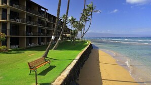 A beachfront hotel with multiple balconies, a grassy area with a bench, and palm trees.