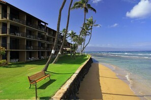 Beach nearby, sun loungers, beach towels - Maui Dream Getaway! Breathtaking 180°Ocean&Mtn Views, 5⭐️Location,walk everywhere (Lahaina)