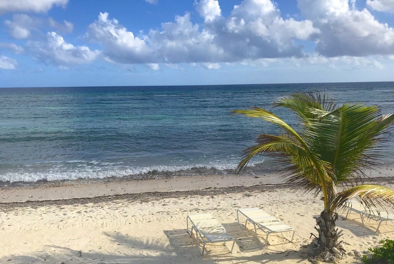 Una playa con una palmera, dos sillas de playa vacías y una vista despejada del océano.