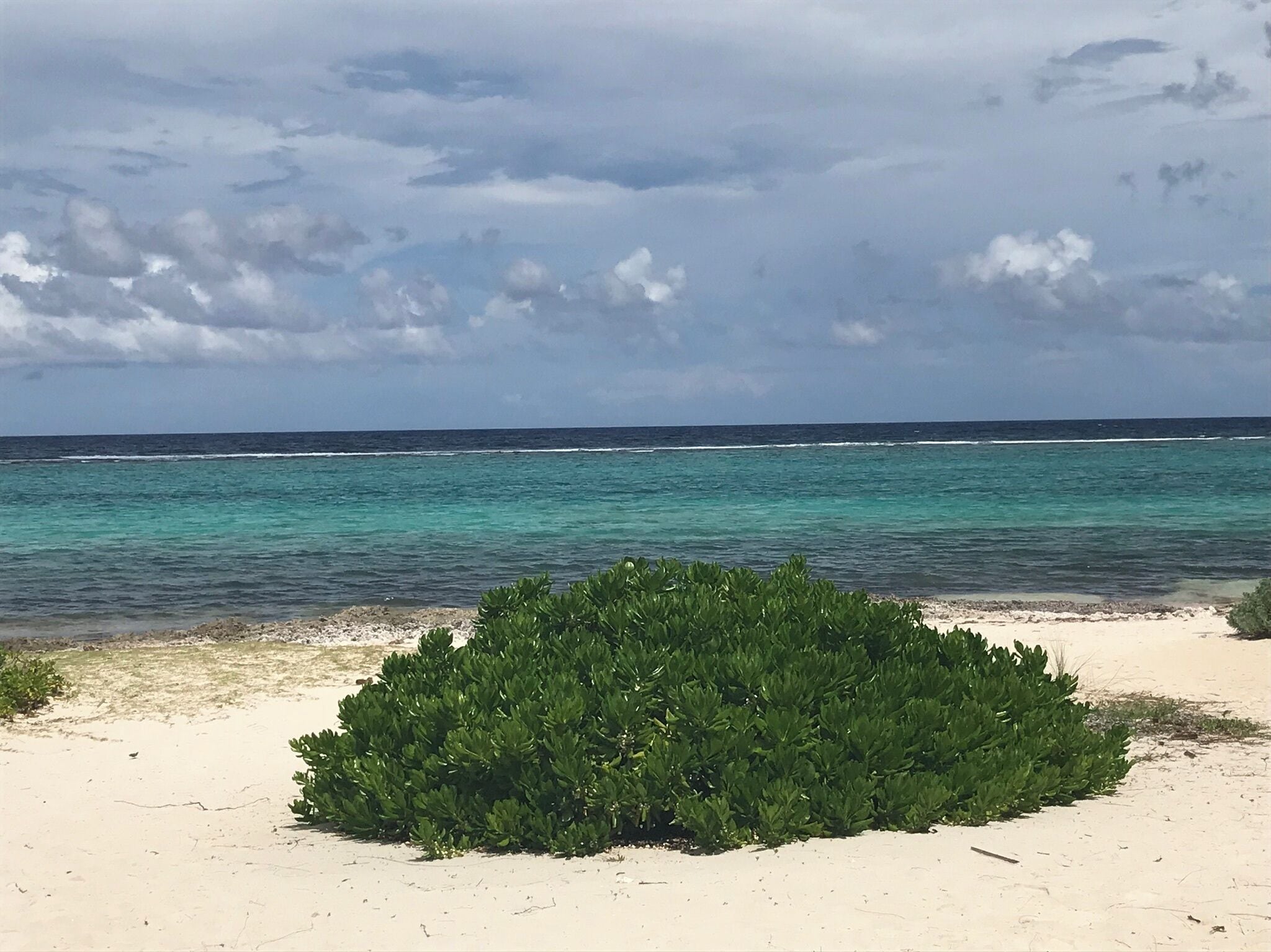 Na praia, toalhas de praia 