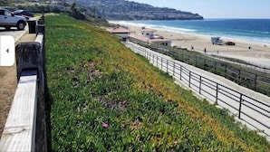 Une route côtière bordée d’une berge herbeuse, d’une plage et offrant une vue dégagée sur l’océan.