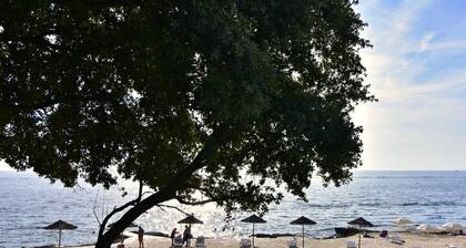 Comfortable holiday flat NOA 2 Tar with pool access