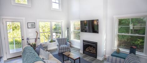 Smart TV, fireplace, books