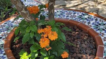 Details aan de buitenkant