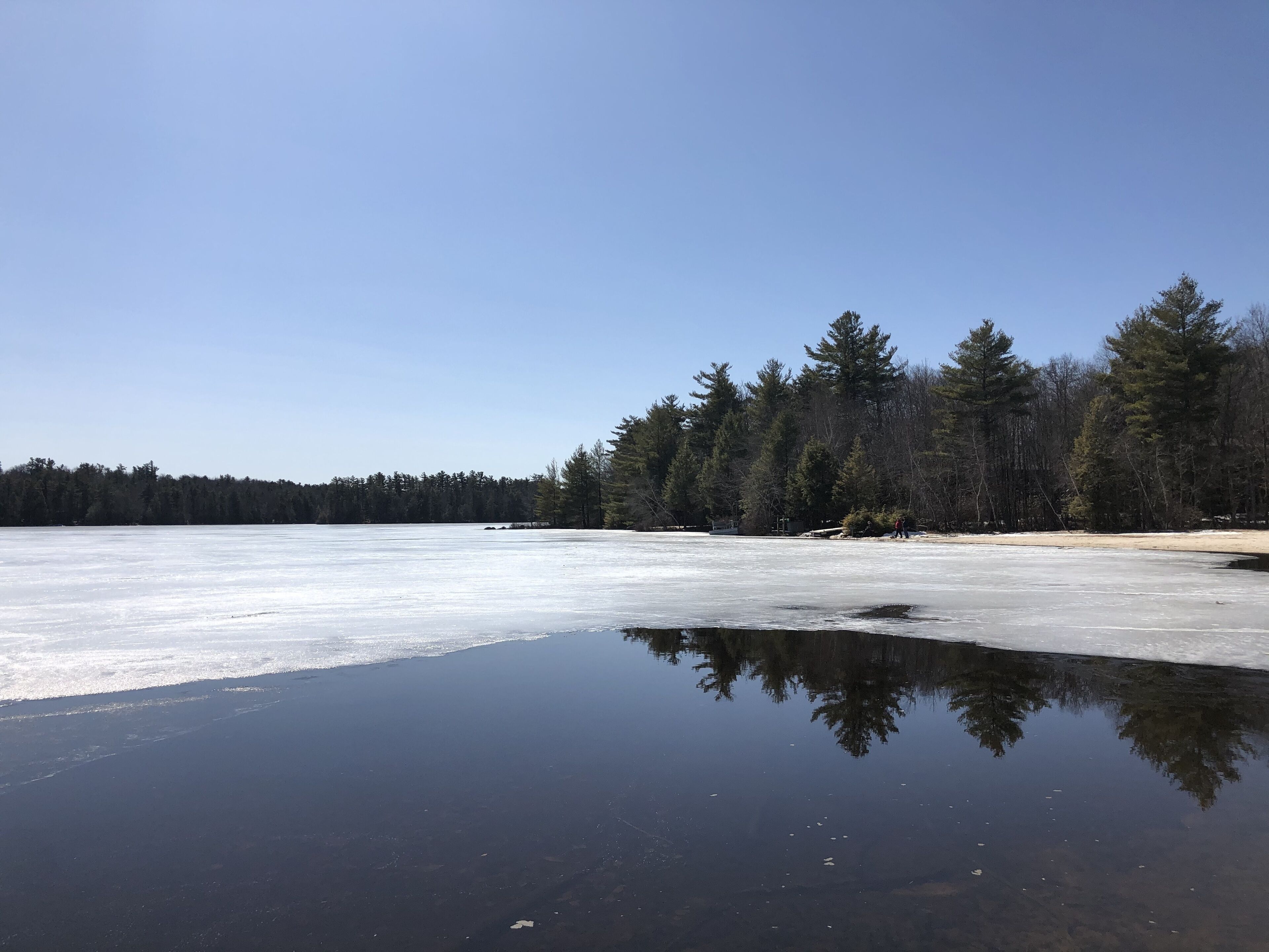 A frozen lake with clear reflections of trees and a clear sky.