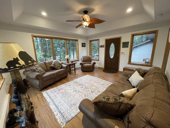 Smart TV, fireplace, books