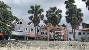 Un quartier résidentiel en bord de mer, avec des maisons, des palmiers et un mur de pierre.