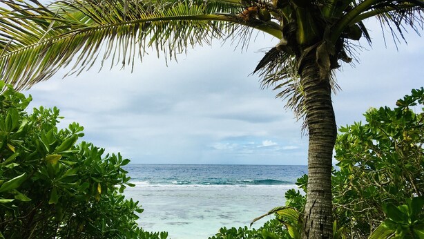 A pathway leading to a beach with palm trees and ocean views. - Cottage Papaya Moorea (Moorea-Maiao)