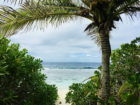Beach nearby. Cottage Papaya Moorea