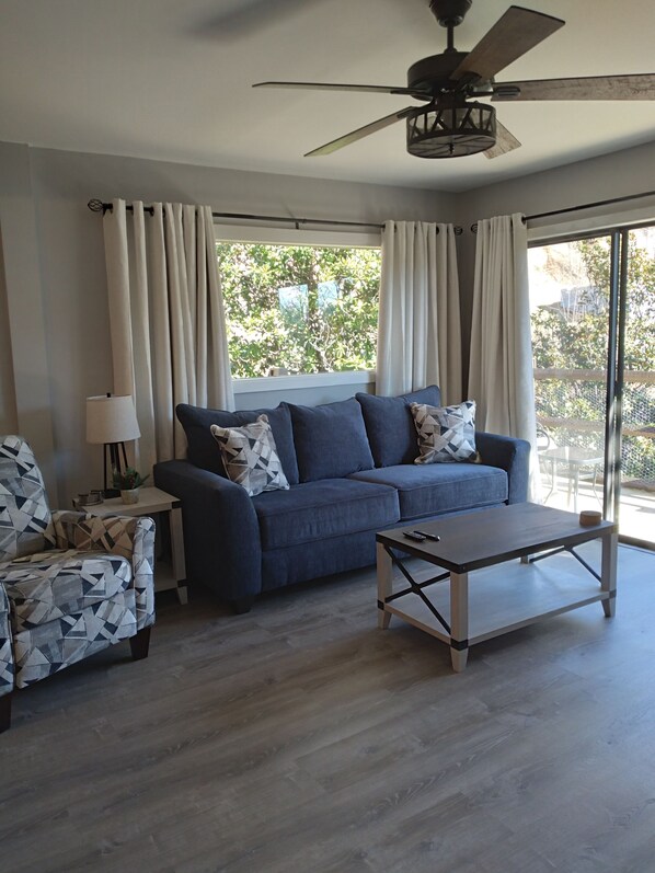 Smart TV, fireplace, video library