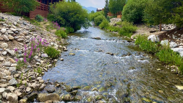 Un río serpenteando por una zona boscosa con cabañas de madera.