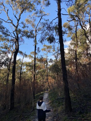 Property grounds - Anglesea Beachhouse (Anglesea)