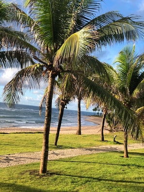 A beach with palm trees and a view of the ocean. - House with a pool, 5 bedrooms (4 suites), 40 meters from the beach. (Guarajuba)