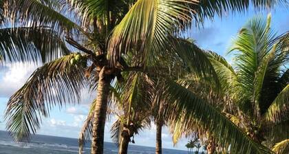 House with swimming pool, 5 bedrooms (4 suites) 40 meters from the beach.