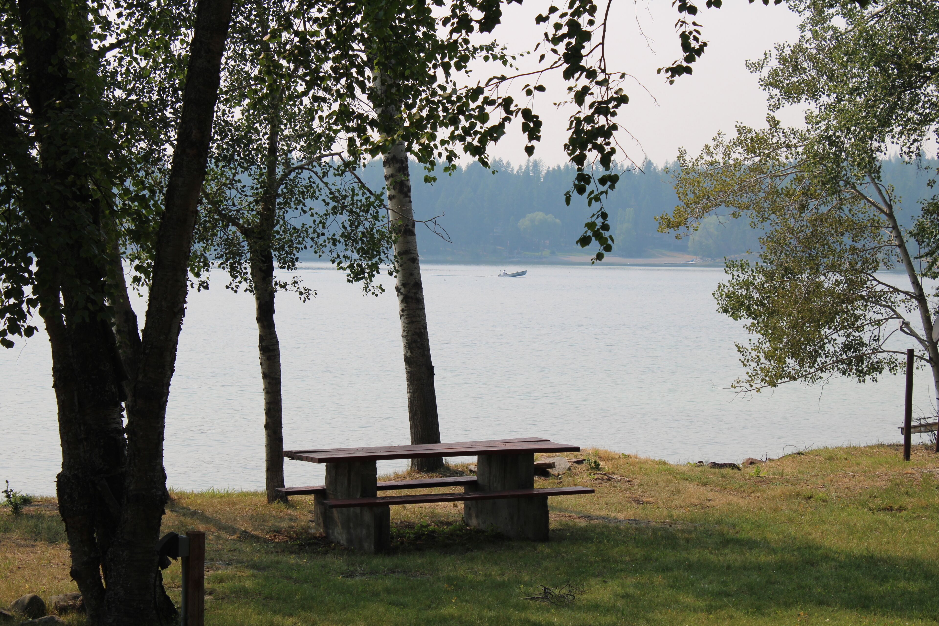 Lakefront cabin on Glen Lake! Sleeps 12. Guest House w/2nd kitchen included!