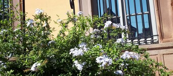 At the foot of the vineyards, apartment in a small residential condominium.