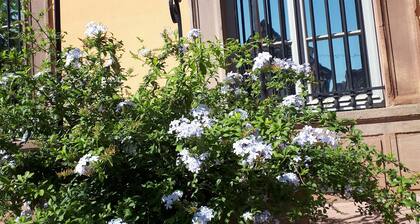 At the foot of the vineyards, apartment in a small residential condominium.