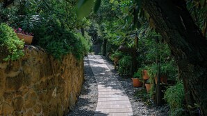 A narrow stone pathway flanked by lush greenery and potted plants, leading to a shaded area. - Casa Frontemare con Scesa al Mare Privata (Castiglioncello (LI))