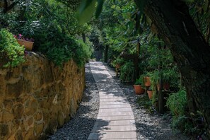 Property grounds - Casa Frontemare con Scesa al Mare Privata (Castiglioncello (LI))