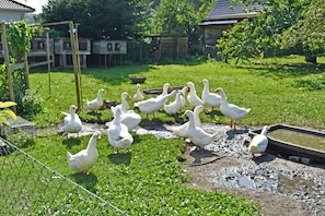 Enceinte de lâhĂ©bergement