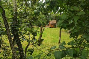 Eine rustikale Holzhütte in einer üppigen grünen Landschaft, mit Holzzaun und Bäumen im Vordergrund.