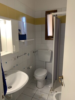 Een douche, een haardroger, een bidet, handdoeken