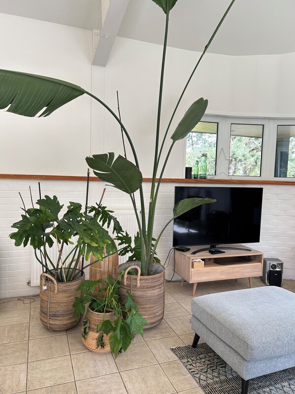 Smart TV, chimenea, tenis de mesa y libros 