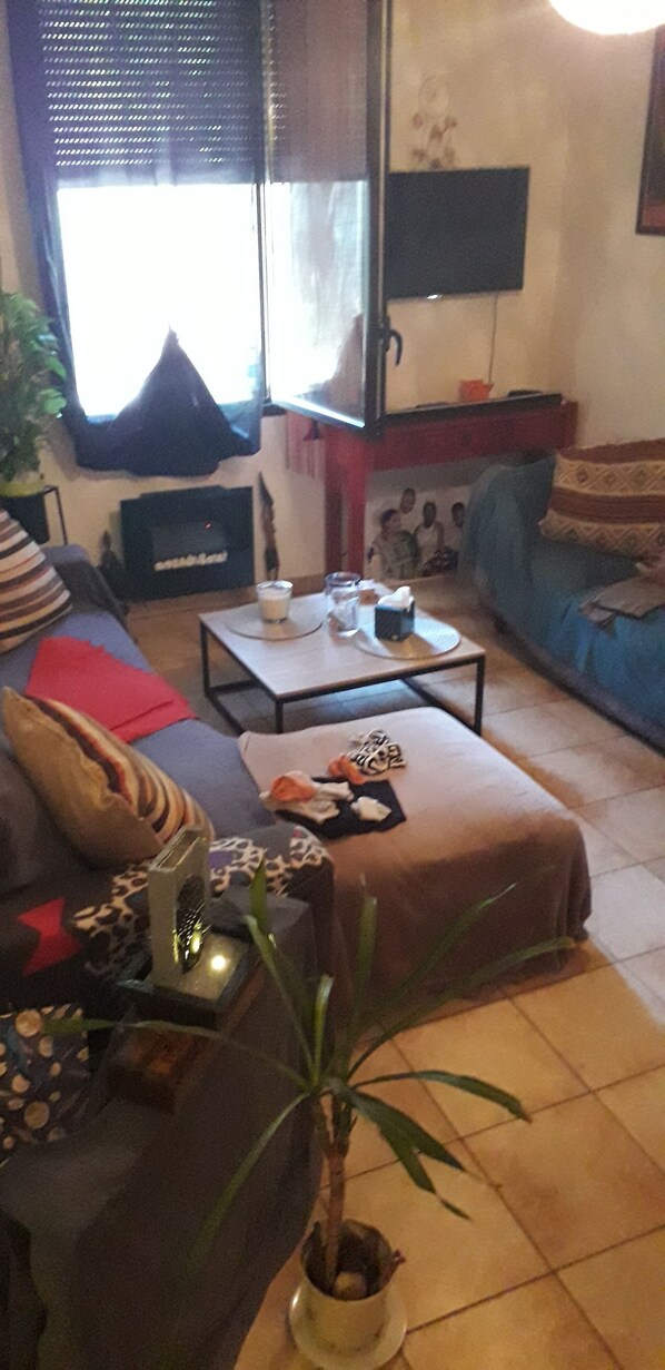 A living room with a sofa, a coffee table, a small table with a plant, and a fireplace.