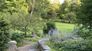 A stone staircase leading to a lush garden with a lawn and trees. - Vermont Gem Near Woodstock and Quechee (Woodstock)