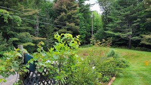 Un jardín con un bancal de madera elevado, un cerramiento de celosía y diversas plantas.
