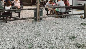 An outdoor seating area with tables and umbrellas, a building with a sign that reads "OPEN", and a food truck with a sign that reads "Chili Champ". - King Apt Suite  w/ Soaker Tub & Mountain Views (Bryson City)