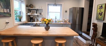 Newly renovated studio Apartment in Downtown Lexington. 5 min walk to W&L or VMI