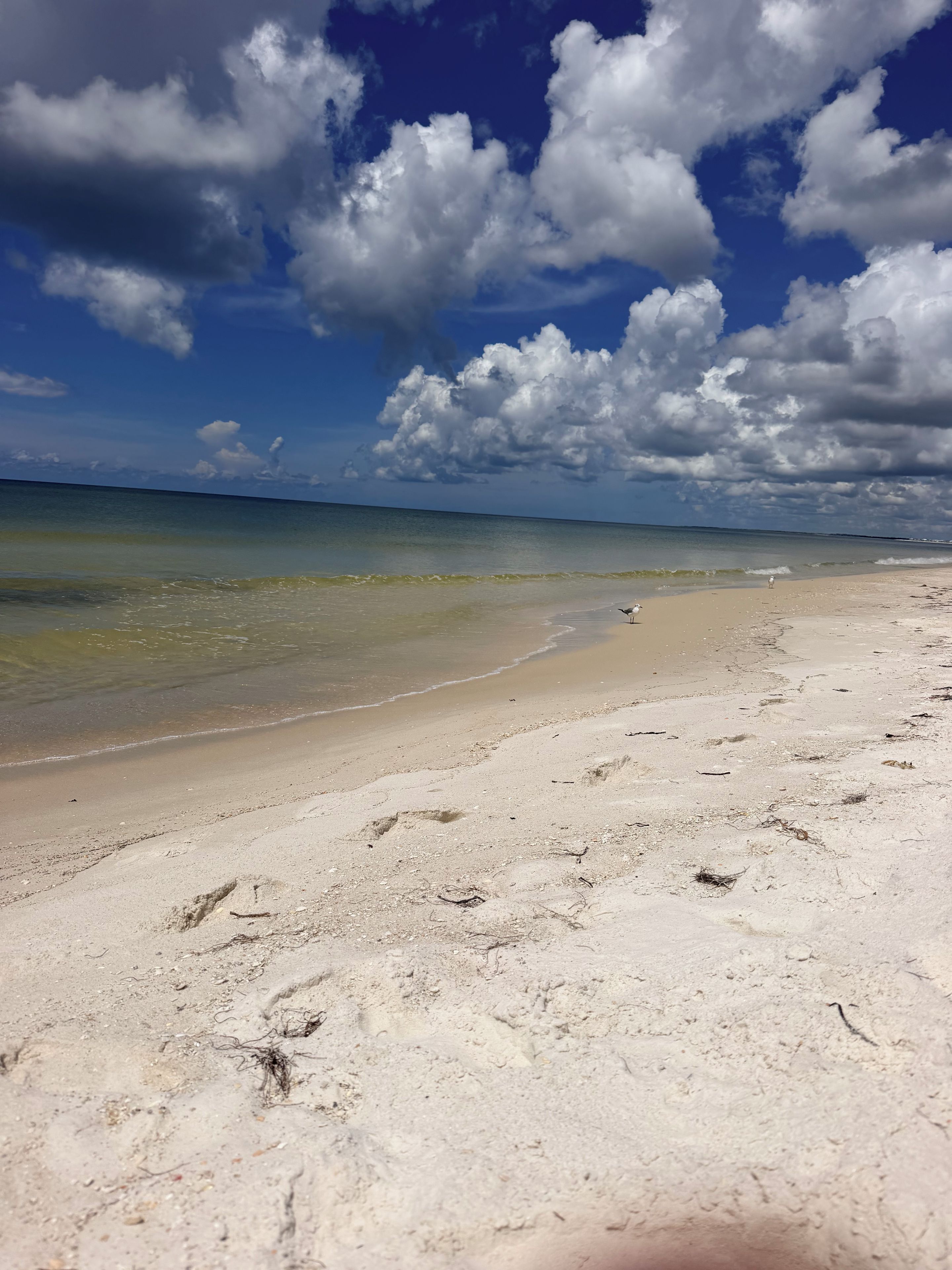 Una playa con cielos despejados y aguas tranquilas.