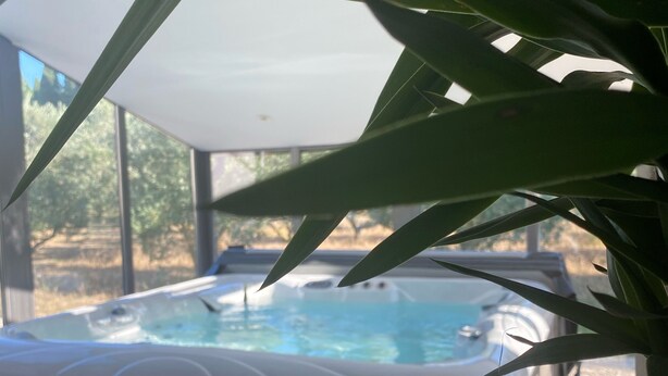 A hot tub with a view of trees outside. - La Pépite des Tours (Châteaurenard)