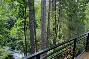 Terrain de l’hébergement 